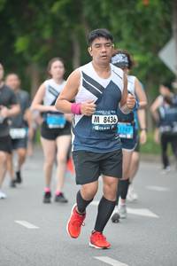 BIB: 8436
                            <button type="button" onclick="openModal(4619703)" class="btn btn-primary btn-sm float-right btn-popup" data-toggle="modal" data-target=".modal-high-quality">
                        <i class="fas fa-shopping-cart"></i> Add to Cart
                    </button>
                                            <button type="button" onclick="isThisMe(4619703, true)" class="btn btn-success btn-sm float-right btn-popup btn-isme hidden" data-toggle="tooltip" data-placement="bottom" title="นี่คือรูปของคุณใช่ไหม คลิกที่นี่เพื่อเอาเข้าอัลบั้ม">
                        <i class="fas fa-plus"></i> Add to album
                    </button>
                    <button type="button" onclick="isThisMe(4619703, false)" class="btn btn-warning btn-sm float-right btn-popup btn-isnotme hidden">
                        <i class="fas fa-ban"></i> Remove from album
                    </button>