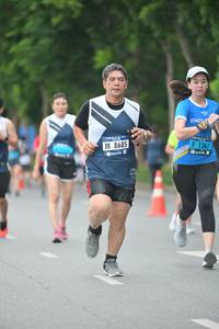 BIB: 1367, 8685
                            <button type="button" onclick="openModal(4615261)" class="btn btn-primary btn-sm float-right btn-popup" data-toggle="modal" data-target=".modal-high-quality">
                        <i class="fas fa-shopping-cart"></i> Add to Cart
                    </button>
                                            <button type="button" onclick="isThisMe(4615261, true)" class="btn btn-success btn-sm float-right btn-popup btn-isme hidden" data-toggle="tooltip" data-placement="bottom" title="นี่คือรูปของคุณใช่ไหม คลิกที่นี่เพื่อเอาเข้าอัลบั้ม">
                        <i class="fas fa-plus"></i> Add to album
                    </button>
                    <button type="button" onclick="isThisMe(4615261, false)" class="btn btn-warning btn-sm float-right btn-popup btn-isnotme hidden">
                        <i class="fas fa-ban"></i> Remove from album
                    </button>