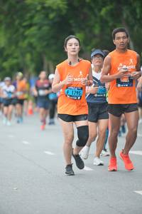 BIB: 2068, 1795, 
                            <button type="button" onclick="openModal(4600981)" class="btn btn-primary btn-sm float-right btn-popup" data-toggle="modal" data-target=".modal-high-quality">
                        <i class="fas fa-shopping-cart"></i> Add to Cart
                    </button>
                                            <button type="button" onclick="isThisMe(4600981, true)" class="btn btn-success btn-sm float-right btn-popup btn-isme hidden" data-toggle="tooltip" data-placement="bottom" title="นี่คือรูปของคุณใช่ไหม คลิกที่นี่เพื่อเอาเข้าอัลบั้ม">
                        <i class="fas fa-plus"></i> Add to album
                    </button>
                    <button type="button" onclick="isThisMe(4600981, false)" class="btn btn-warning btn-sm float-right btn-popup btn-isnotme hidden">
                        <i class="fas fa-ban"></i> Remove from album
                    </button>