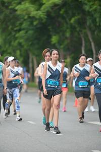 BIB: 
                            <button type="button" onclick="openModal(4612794)" class="btn btn-primary btn-sm float-right btn-popup" data-toggle="modal" data-target=".modal-high-quality">
                        <i class="fas fa-shopping-cart"></i> Add to Cart
                    </button>
                                            <button type="button" onclick="isThisMe(4612794, true)" class="btn btn-success btn-sm float-right btn-popup btn-isme hidden" data-toggle="tooltip" data-placement="bottom" title="นี่คือรูปของคุณใช่ไหม คลิกที่นี่เพื่อเอาเข้าอัลบั้ม">
                        <i class="fas fa-plus"></i> Add to album
                    </button>
                    <button type="button" onclick="isThisMe(4612794, false)" class="btn btn-warning btn-sm float-right btn-popup btn-isnotme hidden">
                        <i class="fas fa-ban"></i> Remove from album
                    </button>