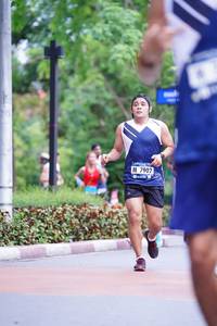 BIB: 7902
                            <button type="button" onclick="openModal(4695983)" class="btn btn-primary btn-sm float-right btn-popup" data-toggle="modal" data-target=".modal-high-quality">
                        <i class="fas fa-shopping-cart"></i> Add to Cart
                    </button>
                                            <button type="button" onclick="isThisMe(4695983, true)" class="btn btn-success btn-sm float-right btn-popup btn-isme hidden" data-toggle="tooltip" data-placement="bottom" title="นี่คือรูปของคุณใช่ไหม คลิกที่นี่เพื่อเอาเข้าอัลบั้ม">
                        <i class="fas fa-plus"></i> Add to album
                    </button>
                    <button type="button" onclick="isThisMe(4695983, false)" class="btn btn-warning btn-sm float-right btn-popup btn-isnotme hidden">
                        <i class="fas fa-ban"></i> Remove from album
                    </button>