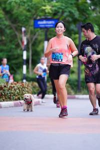 BIB: 2454
                            <button type="button" onclick="openModal(4702020)" class="btn btn-primary btn-sm float-right btn-popup" data-toggle="modal" data-target=".modal-high-quality">
                        <i class="fas fa-shopping-cart"></i> Add to Cart
                    </button>
                                            <button type="button" onclick="isThisMe(4702020, true)" class="btn btn-success btn-sm float-right btn-popup btn-isme hidden" data-toggle="tooltip" data-placement="bottom" title="นี่คือรูปของคุณใช่ไหม คลิกที่นี่เพื่อเอาเข้าอัลบั้ม">
                        <i class="fas fa-plus"></i> Add to album
                    </button>
                    <button type="button" onclick="isThisMe(4702020, false)" class="btn btn-warning btn-sm float-right btn-popup btn-isnotme hidden">
                        <i class="fas fa-ban"></i> Remove from album
                    </button>