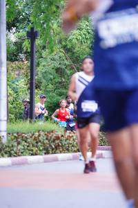 BIB: 
                            <button type="button" onclick="openModal(4696078)" class="btn btn-primary btn-sm float-right btn-popup" data-toggle="modal" data-target=".modal-high-quality">
                        <i class="fas fa-shopping-cart"></i> Add to Cart
                    </button>
                                            <button type="button" onclick="isThisMe(4696078, true)" class="btn btn-success btn-sm float-right btn-popup btn-isme hidden" data-toggle="tooltip" data-placement="bottom" title="นี่คือรูปของคุณใช่ไหม คลิกที่นี่เพื่อเอาเข้าอัลบั้ม">
                        <i class="fas fa-plus"></i> Add to album
                    </button>
                    <button type="button" onclick="isThisMe(4696078, false)" class="btn btn-warning btn-sm float-right btn-popup btn-isnotme hidden">
                        <i class="fas fa-ban"></i> Remove from album
                    </button>