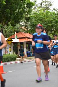 BIB: 
                            <button type="button" onclick="openModal(4697488)" class="btn btn-primary btn-sm float-right btn-popup" data-toggle="modal" data-target=".modal-high-quality">
                        <i class="fas fa-shopping-cart"></i> Add to Cart
                    </button>
                                            <button type="button" onclick="isThisMe(4697488, true)" class="btn btn-success btn-sm float-right btn-popup btn-isme hidden" data-toggle="tooltip" data-placement="bottom" title="นี่คือรูปของคุณใช่ไหม คลิกที่นี่เพื่อเอาเข้าอัลบั้ม">
                        <i class="fas fa-plus"></i> Add to album
                    </button>
                    <button type="button" onclick="isThisMe(4697488, false)" class="btn btn-warning btn-sm float-right btn-popup btn-isnotme hidden">
                        <i class="fas fa-ban"></i> Remove from album
                    </button>