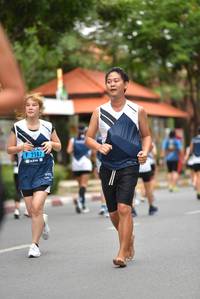 BIB: 
                            <button type="button" onclick="openModal(4689998)" class="btn btn-primary btn-sm float-right btn-popup" data-toggle="modal" data-target=".modal-high-quality">
                        <i class="fas fa-shopping-cart"></i> Add to Cart
                    </button>
                                            <button type="button" onclick="isThisMe(4689998, true)" class="btn btn-success btn-sm float-right btn-popup btn-isme hidden" data-toggle="tooltip" data-placement="bottom" title="นี่คือรูปของคุณใช่ไหม คลิกที่นี่เพื่อเอาเข้าอัลบั้ม">
                        <i class="fas fa-plus"></i> Add to album
                    </button>
                    <button type="button" onclick="isThisMe(4689998, false)" class="btn btn-warning btn-sm float-right btn-popup btn-isnotme hidden">
                        <i class="fas fa-ban"></i> Remove from album
                    </button>