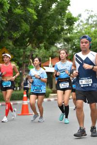 BIB: 2245, 7804, 8662, 2628
                            <button type="button" onclick="openModal(4688715)" class="btn btn-primary btn-sm float-right btn-popup" data-toggle="modal" data-target=".modal-high-quality">
                        <i class="fas fa-shopping-cart"></i> Add to Cart
                    </button>
                                            <button type="button" onclick="isThisMe(4688715, true)" class="btn btn-success btn-sm float-right btn-popup btn-isme hidden" data-toggle="tooltip" data-placement="bottom" title="นี่คือรูปของคุณใช่ไหม คลิกที่นี่เพื่อเอาเข้าอัลบั้ม">
                        <i class="fas fa-plus"></i> Add to album
                    </button>
                    <button type="button" onclick="isThisMe(4688715, false)" class="btn btn-warning btn-sm float-right btn-popup btn-isnotme hidden">
                        <i class="fas fa-ban"></i> Remove from album
                    </button>