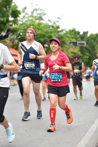 BIB: 8380, 1958
                            <button type="button" onclick="openModal(4694339)" class="btn btn-primary btn-sm float-right btn-popup" data-toggle="modal" data-target=".modal-high-quality">
                        <i class="fas fa-shopping-cart"></i> Add to Cart
                    </button>
                                            <button type="button" onclick="isThisMe(4694339, true)" class="btn btn-success btn-sm float-right btn-popup btn-isme hidden" data-toggle="tooltip" data-placement="bottom" title="นี่คือรูปของคุณใช่ไหม คลิกที่นี่เพื่อเอาเข้าอัลบั้ม">
                        <i class="fas fa-plus"></i> Add to album
                    </button>
                    <button type="button" onclick="isThisMe(4694339, false)" class="btn btn-warning btn-sm float-right btn-popup btn-isnotme hidden">
                        <i class="fas fa-ban"></i> Remove from album
                    </button>