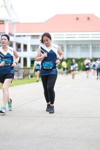 BIB: 1966
                            <button type="button" onclick="openModal(4678156)" class="btn btn-primary btn-sm float-right btn-popup" data-toggle="modal" data-target=".modal-high-quality">
                        <i class="fas fa-shopping-cart"></i> Add to Cart
                    </button>
                                            <button type="button" onclick="isThisMe(4678156, true)" class="btn btn-success btn-sm float-right btn-popup btn-isme hidden" data-toggle="tooltip" data-placement="bottom" title="นี่คือรูปของคุณใช่ไหม คลิกที่นี่เพื่อเอาเข้าอัลบั้ม">
                        <i class="fas fa-plus"></i> Add to album
                    </button>
                    <button type="button" onclick="isThisMe(4678156, false)" class="btn btn-warning btn-sm float-right btn-popup btn-isnotme hidden">
                        <i class="fas fa-ban"></i> Remove from album
                    </button>