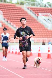 BIB: 
                            <button type="button" onclick="openModal(4585018)" class="btn btn-primary btn-sm float-right btn-popup" data-toggle="modal" data-target=".modal-high-quality">
                        <i class="fas fa-shopping-cart"></i> Add to Cart
                    </button>
                                            <button type="button" onclick="isThisMe(4585018, true)" class="btn btn-success btn-sm float-right btn-popup btn-isme hidden" data-toggle="tooltip" data-placement="bottom" title="นี่คือรูปของคุณใช่ไหม คลิกที่นี่เพื่อเอาเข้าอัลบั้ม">
                        <i class="fas fa-plus"></i> Add to album
                    </button>
                    <button type="button" onclick="isThisMe(4585018, false)" class="btn btn-warning btn-sm float-right btn-popup btn-isnotme hidden">
                        <i class="fas fa-ban"></i> Remove from album
                    </button>