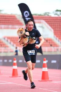 BIB: 7141
                            <button type="button" onclick="openModal(4589366)" class="btn btn-primary btn-sm float-right btn-popup" data-toggle="modal" data-target=".modal-high-quality">
                        <i class="fas fa-shopping-cart"></i> Add to Cart
                    </button>
                                            <button type="button" onclick="isThisMe(4589366, true)" class="btn btn-success btn-sm float-right btn-popup btn-isme hidden" data-toggle="tooltip" data-placement="bottom" title="นี่คือรูปของคุณใช่ไหม คลิกที่นี่เพื่อเอาเข้าอัลบั้ม">
                        <i class="fas fa-plus"></i> Add to album
                    </button>
                    <button type="button" onclick="isThisMe(4589366, false)" class="btn btn-warning btn-sm float-right btn-popup btn-isnotme hidden">
                        <i class="fas fa-ban"></i> Remove from album
                    </button>