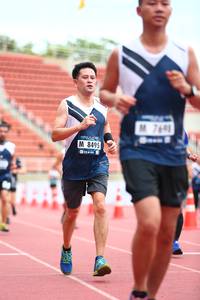 BIB: 8495
                            <button type="button" onclick="openModal(4582976)" class="btn btn-primary btn-sm float-right btn-popup" data-toggle="modal" data-target=".modal-high-quality">
                        <i class="fas fa-shopping-cart"></i> Add to Cart
                    </button>
                                            <button type="button" onclick="isThisMe(4582976, true)" class="btn btn-success btn-sm float-right btn-popup btn-isme hidden" data-toggle="tooltip" data-placement="bottom" title="นี่คือรูปของคุณใช่ไหม คลิกที่นี่เพื่อเอาเข้าอัลบั้ม">
                        <i class="fas fa-plus"></i> Add to album
                    </button>
                    <button type="button" onclick="isThisMe(4582976, false)" class="btn btn-warning btn-sm float-right btn-popup btn-isnotme hidden">
                        <i class="fas fa-ban"></i> Remove from album
                    </button>