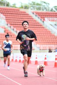 BIB: 
                            <button type="button" onclick="openModal(4585015)" class="btn btn-primary btn-sm float-right btn-popup" data-toggle="modal" data-target=".modal-high-quality">
                        <i class="fas fa-shopping-cart"></i> Add to Cart
                    </button>
                                            <button type="button" onclick="isThisMe(4585015, true)" class="btn btn-success btn-sm float-right btn-popup btn-isme hidden" data-toggle="tooltip" data-placement="bottom" title="นี่คือรูปของคุณใช่ไหม คลิกที่นี่เพื่อเอาเข้าอัลบั้ม">
                        <i class="fas fa-plus"></i> Add to album
                    </button>
                    <button type="button" onclick="isThisMe(4585015, false)" class="btn btn-warning btn-sm float-right btn-popup btn-isnotme hidden">
                        <i class="fas fa-ban"></i> Remove from album
                    </button>