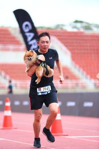 BIB: 7141
                            <button type="button" onclick="openModal(4589385)" class="btn btn-primary btn-sm float-right btn-popup" data-toggle="modal" data-target=".modal-high-quality">
                        <i class="fas fa-shopping-cart"></i> Add to Cart
                    </button>
                                            <button type="button" onclick="isThisMe(4589385, true)" class="btn btn-success btn-sm float-right btn-popup btn-isme hidden" data-toggle="tooltip" data-placement="bottom" title="นี่คือรูปของคุณใช่ไหม คลิกที่นี่เพื่อเอาเข้าอัลบั้ม">
                        <i class="fas fa-plus"></i> Add to album
                    </button>
                    <button type="button" onclick="isThisMe(4589385, false)" class="btn btn-warning btn-sm float-right btn-popup btn-isnotme hidden">
                        <i class="fas fa-ban"></i> Remove from album
                    </button>