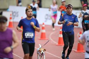 BIB: 
                            <button type="button" onclick="openModal(4569488)" class="btn btn-primary btn-sm float-right btn-popup" data-toggle="modal" data-target=".modal-high-quality">
                        <i class="fas fa-shopping-cart"></i> Add to Cart
                    </button>
                                            <button type="button" onclick="isThisMe(4569488, true)" class="btn btn-success btn-sm float-right btn-popup btn-isme hidden" data-toggle="tooltip" data-placement="bottom" title="นี่คือรูปของคุณใช่ไหม คลิกที่นี่เพื่อเอาเข้าอัลบั้ม">
                        <i class="fas fa-plus"></i> Add to album
                    </button>
                    <button type="button" onclick="isThisMe(4569488, false)" class="btn btn-warning btn-sm float-right btn-popup btn-isnotme hidden">
                        <i class="fas fa-ban"></i> Remove from album
                    </button>