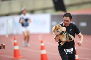 BIB: 7141
                            <button type="button" onclick="openModal(4575265)" class="btn btn-primary btn-sm float-right btn-popup" data-toggle="modal" data-target=".modal-high-quality">
                        <i class="fas fa-shopping-cart"></i> Add to Cart
                    </button>
                                            <button type="button" onclick="isThisMe(4575265, true)" class="btn btn-success btn-sm float-right btn-popup btn-isme hidden" data-toggle="tooltip" data-placement="bottom" title="นี่คือรูปของคุณใช่ไหม คลิกที่นี่เพื่อเอาเข้าอัลบั้ม">
                        <i class="fas fa-plus"></i> Add to album
                    </button>
                    <button type="button" onclick="isThisMe(4575265, false)" class="btn btn-warning btn-sm float-right btn-popup btn-isnotme hidden">
                        <i class="fas fa-ban"></i> Remove from album
                    </button>