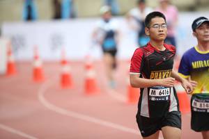 BIB: 6416, 814
                            <button type="button" onclick="openModal(4575310)" class="btn btn-primary btn-sm float-right btn-popup" data-toggle="modal" data-target=".modal-high-quality">
                        <i class="fas fa-shopping-cart"></i> Add to Cart
                    </button>
                                            <button type="button" onclick="isThisMe(4575310, true)" class="btn btn-success btn-sm float-right btn-popup btn-isme hidden" data-toggle="tooltip" data-placement="bottom" title="นี่คือรูปของคุณใช่ไหม คลิกที่นี่เพื่อเอาเข้าอัลบั้ม">
                        <i class="fas fa-plus"></i> Add to album
                    </button>
                    <button type="button" onclick="isThisMe(4575310, false)" class="btn btn-warning btn-sm float-right btn-popup btn-isnotme hidden">
                        <i class="fas fa-ban"></i> Remove from album
                    </button>