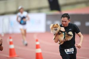 BIB: 7141
                            <button type="button" onclick="openModal(4575268)" class="btn btn-primary btn-sm float-right btn-popup" data-toggle="modal" data-target=".modal-high-quality">
                        <i class="fas fa-shopping-cart"></i> Add to Cart
                    </button>
                                            <button type="button" onclick="isThisMe(4575268, true)" class="btn btn-success btn-sm float-right btn-popup btn-isme hidden" data-toggle="tooltip" data-placement="bottom" title="นี่คือรูปของคุณใช่ไหม คลิกที่นี่เพื่อเอาเข้าอัลบั้ม">
                        <i class="fas fa-plus"></i> Add to album
                    </button>
                    <button type="button" onclick="isThisMe(4575268, false)" class="btn btn-warning btn-sm float-right btn-popup btn-isnotme hidden">
                        <i class="fas fa-ban"></i> Remove from album
                    </button>