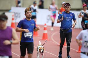 BIB: 
                            <button type="button" onclick="openModal(4569486)" class="btn btn-primary btn-sm float-right btn-popup" data-toggle="modal" data-target=".modal-high-quality">
                        <i class="fas fa-shopping-cart"></i> Add to Cart
                    </button>
                                            <button type="button" onclick="isThisMe(4569486, true)" class="btn btn-success btn-sm float-right btn-popup btn-isme hidden" data-toggle="tooltip" data-placement="bottom" title="นี่คือรูปของคุณใช่ไหม คลิกที่นี่เพื่อเอาเข้าอัลบั้ม">
                        <i class="fas fa-plus"></i> Add to album
                    </button>
                    <button type="button" onclick="isThisMe(4569486, false)" class="btn btn-warning btn-sm float-right btn-popup btn-isnotme hidden">
                        <i class="fas fa-ban"></i> Remove from album
                    </button>