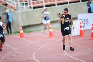 BIB: 7141
                            <button type="button" onclick="openModal(4575088)" class="btn btn-primary btn-sm float-right btn-popup" data-toggle="modal" data-target=".modal-high-quality">
                        <i class="fas fa-shopping-cart"></i> Add to Cart
                    </button>
                                            <button type="button" onclick="isThisMe(4575088, true)" class="btn btn-success btn-sm float-right btn-popup btn-isme hidden" data-toggle="tooltip" data-placement="bottom" title="นี่คือรูปของคุณใช่ไหม คลิกที่นี่เพื่อเอาเข้าอัลบั้ม">
                        <i class="fas fa-plus"></i> Add to album
                    </button>
                    <button type="button" onclick="isThisMe(4575088, false)" class="btn btn-warning btn-sm float-right btn-popup btn-isnotme hidden">
                        <i class="fas fa-ban"></i> Remove from album
                    </button>