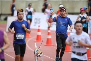 BIB: 
                            <button type="button" onclick="openModal(4569483)" class="btn btn-primary btn-sm float-right btn-popup" data-toggle="modal" data-target=".modal-high-quality">
                        <i class="fas fa-shopping-cart"></i> Add to Cart
                    </button>
                                            <button type="button" onclick="isThisMe(4569483, true)" class="btn btn-success btn-sm float-right btn-popup btn-isme hidden" data-toggle="tooltip" data-placement="bottom" title="นี่คือรูปของคุณใช่ไหม คลิกที่นี่เพื่อเอาเข้าอัลบั้ม">
                        <i class="fas fa-plus"></i> Add to album
                    </button>
                    <button type="button" onclick="isThisMe(4569483, false)" class="btn btn-warning btn-sm float-right btn-popup btn-isnotme hidden">
                        <i class="fas fa-ban"></i> Remove from album
                    </button>