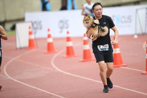 BIB: 7141
                            <button type="button" onclick="openModal(4575260)" class="btn btn-primary btn-sm float-right btn-popup" data-toggle="modal" data-target=".modal-high-quality">
                        <i class="fas fa-shopping-cart"></i> Add to Cart
                    </button>
                                            <button type="button" onclick="isThisMe(4575260, true)" class="btn btn-success btn-sm float-right btn-popup btn-isme hidden" data-toggle="tooltip" data-placement="bottom" title="นี่คือรูปของคุณใช่ไหม คลิกที่นี่เพื่อเอาเข้าอัลบั้ม">
                        <i class="fas fa-plus"></i> Add to album
                    </button>
                    <button type="button" onclick="isThisMe(4575260, false)" class="btn btn-warning btn-sm float-right btn-popup btn-isnotme hidden">
                        <i class="fas fa-ban"></i> Remove from album
                    </button>