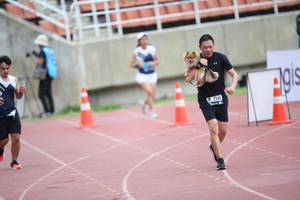 BIB: 7141
                            <button type="button" onclick="openModal(4575085)" class="btn btn-primary btn-sm float-right btn-popup" data-toggle="modal" data-target=".modal-high-quality">
                        <i class="fas fa-shopping-cart"></i> Add to Cart
                    </button>
                                            <button type="button" onclick="isThisMe(4575085, true)" class="btn btn-success btn-sm float-right btn-popup btn-isme hidden" data-toggle="tooltip" data-placement="bottom" title="นี่คือรูปของคุณใช่ไหม คลิกที่นี่เพื่อเอาเข้าอัลบั้ม">
                        <i class="fas fa-plus"></i> Add to album
                    </button>
                    <button type="button" onclick="isThisMe(4575085, false)" class="btn btn-warning btn-sm float-right btn-popup btn-isnotme hidden">
                        <i class="fas fa-ban"></i> Remove from album
                    </button>