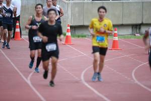 BIB: 
                            <button type="button" onclick="openModal(4568754)" class="btn btn-primary btn-sm float-right btn-popup" data-toggle="modal" data-target=".modal-high-quality">
                        <i class="fas fa-shopping-cart"></i> Add to Cart
                    </button>
                                            <button type="button" onclick="isThisMe(4568754, true)" class="btn btn-success btn-sm float-right btn-popup btn-isme hidden" data-toggle="tooltip" data-placement="bottom" title="นี่คือรูปของคุณใช่ไหม คลิกที่นี่เพื่อเอาเข้าอัลบั้ม">
                        <i class="fas fa-plus"></i> Add to album
                    </button>
                    <button type="button" onclick="isThisMe(4568754, false)" class="btn btn-warning btn-sm float-right btn-popup btn-isnotme hidden">
                        <i class="fas fa-ban"></i> Remove from album
                    </button>