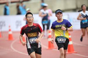 BIB: 8148
                            <button type="button" onclick="openModal(4575307)" class="btn btn-primary btn-sm float-right btn-popup" data-toggle="modal" data-target=".modal-high-quality">
                        <i class="fas fa-shopping-cart"></i> Add to Cart
                    </button>
                                            <button type="button" onclick="isThisMe(4575307, true)" class="btn btn-success btn-sm float-right btn-popup btn-isme hidden" data-toggle="tooltip" data-placement="bottom" title="นี่คือรูปของคุณใช่ไหม คลิกที่นี่เพื่อเอาเข้าอัลบั้ม">
                        <i class="fas fa-plus"></i> Add to album
                    </button>
                    <button type="button" onclick="isThisMe(4575307, false)" class="btn btn-warning btn-sm float-right btn-popup btn-isnotme hidden">
                        <i class="fas fa-ban"></i> Remove from album
                    </button>