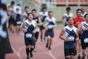 BIB: 7673
                            <button type="button" onclick="openModal(4568598)" class="btn btn-primary btn-sm float-right btn-popup" data-toggle="modal" data-target=".modal-high-quality">
                        <i class="fas fa-shopping-cart"></i> Add to Cart
                    </button>
                                            <button type="button" onclick="isThisMe(4568598, true)" class="btn btn-success btn-sm float-right btn-popup btn-isme hidden" data-toggle="tooltip" data-placement="bottom" title="นี่คือรูปของคุณใช่ไหม คลิกที่นี่เพื่อเอาเข้าอัลบั้ม">
                        <i class="fas fa-plus"></i> Add to album
                    </button>
                    <button type="button" onclick="isThisMe(4568598, false)" class="btn btn-warning btn-sm float-right btn-popup btn-isnotme hidden">
                        <i class="fas fa-ban"></i> Remove from album
                    </button>