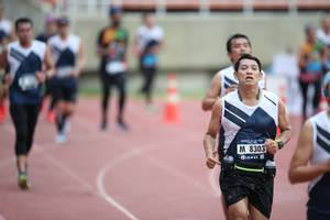 BIB: 8303
                            <button type="button" onclick="openModal(4569721)" class="btn btn-primary btn-sm float-right btn-popup" data-toggle="modal" data-target=".modal-high-quality">
                        <i class="fas fa-shopping-cart"></i> Add to Cart
                    </button>
                                            <button type="button" onclick="isThisMe(4569721, true)" class="btn btn-success btn-sm float-right btn-popup btn-isme hidden" data-toggle="tooltip" data-placement="bottom" title="นี่คือรูปของคุณใช่ไหม คลิกที่นี่เพื่อเอาเข้าอัลบั้ม">
                        <i class="fas fa-plus"></i> Add to album
                    </button>
                    <button type="button" onclick="isThisMe(4569721, false)" class="btn btn-warning btn-sm float-right btn-popup btn-isnotme hidden">
                        <i class="fas fa-ban"></i> Remove from album
                    </button>