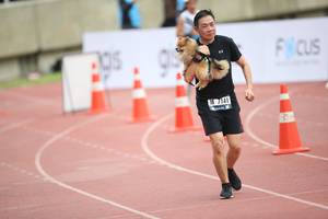 BIB: 7141
                            <button type="button" onclick="openModal(4575094)" class="btn btn-primary btn-sm float-right btn-popup" data-toggle="modal" data-target=".modal-high-quality">
                        <i class="fas fa-shopping-cart"></i> Add to Cart
                    </button>
                                            <button type="button" onclick="isThisMe(4575094, true)" class="btn btn-success btn-sm float-right btn-popup btn-isme hidden" data-toggle="tooltip" data-placement="bottom" title="นี่คือรูปของคุณใช่ไหม คลิกที่นี่เพื่อเอาเข้าอัลบั้ม">
                        <i class="fas fa-plus"></i> Add to album
                    </button>
                    <button type="button" onclick="isThisMe(4575094, false)" class="btn btn-warning btn-sm float-right btn-popup btn-isnotme hidden">
                        <i class="fas fa-ban"></i> Remove from album
                    </button>