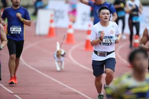 BIB: 6994, 5578
                            <button type="button" onclick="openModal(4569478)" class="btn btn-primary btn-sm float-right btn-popup" data-toggle="modal" data-target=".modal-high-quality">
                        <i class="fas fa-shopping-cart"></i> Add to Cart
                    </button>
                                            <button type="button" onclick="isThisMe(4569478, true)" class="btn btn-success btn-sm float-right btn-popup btn-isme hidden" data-toggle="tooltip" data-placement="bottom" title="นี่คือรูปของคุณใช่ไหม คลิกที่นี่เพื่อเอาเข้าอัลบั้ม">
                        <i class="fas fa-plus"></i> Add to album
                    </button>
                    <button type="button" onclick="isThisMe(4569478, false)" class="btn btn-warning btn-sm float-right btn-popup btn-isnotme hidden">
                        <i class="fas fa-ban"></i> Remove from album
                    </button>