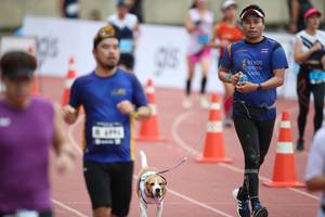 BIB: 
                            <button type="button" onclick="openModal(4569487)" class="btn btn-primary btn-sm float-right btn-popup" data-toggle="modal" data-target=".modal-high-quality">
                        <i class="fas fa-shopping-cart"></i> Add to Cart
                    </button>
                                            <button type="button" onclick="isThisMe(4569487, true)" class="btn btn-success btn-sm float-right btn-popup btn-isme hidden" data-toggle="tooltip" data-placement="bottom" title="นี่คือรูปของคุณใช่ไหม คลิกที่นี่เพื่อเอาเข้าอัลบั้ม">
                        <i class="fas fa-plus"></i> Add to album
                    </button>
                    <button type="button" onclick="isThisMe(4569487, false)" class="btn btn-warning btn-sm float-right btn-popup btn-isnotme hidden">
                        <i class="fas fa-ban"></i> Remove from album
                    </button>