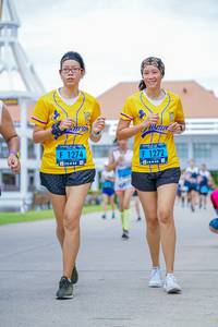 BIB: 1274, 1272
                            <button type="button" onclick="openModal(4685232)" class="btn btn-primary btn-sm float-right btn-popup" data-toggle="modal" data-target=".modal-high-quality">
                        <i class="fas fa-shopping-cart"></i> Add to Cart
                    </button>
                                            <button type="button" onclick="isThisMe(4685232, true)" class="btn btn-success btn-sm float-right btn-popup btn-isme hidden" data-toggle="tooltip" data-placement="bottom" title="นี่คือรูปของคุณใช่ไหม คลิกที่นี่เพื่อเอาเข้าอัลบั้ม">
                        <i class="fas fa-plus"></i> Add to album
                    </button>
                    <button type="button" onclick="isThisMe(4685232, false)" class="btn btn-warning btn-sm float-right btn-popup btn-isnotme hidden">
                        <i class="fas fa-ban"></i> Remove from album
                    </button>