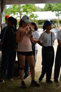 BIB: 
                            <button type="button" onclick="openModal(4702576)" class="btn btn-primary btn-sm float-right btn-popup" data-toggle="modal" data-target=".modal-high-quality">
                        <i class="fas fa-shopping-cart"></i> Add to Cart
                    </button>
                                            <button type="button" onclick="isThisMe(4702576, true)" class="btn btn-success btn-sm float-right btn-popup btn-isme hidden" data-toggle="tooltip" data-placement="bottom" title="นี่คือรูปของคุณใช่ไหม คลิกที่นี่เพื่อเอาเข้าอัลบั้ม">
                        <i class="fas fa-plus"></i> Add to album
                    </button>
                    <button type="button" onclick="isThisMe(4702576, false)" class="btn btn-warning btn-sm float-right btn-popup btn-isnotme hidden">
                        <i class="fas fa-ban"></i> Remove from album
                    </button>