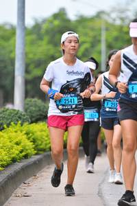 BIB: 2541, 255, 834
                            <button type="button" onclick="openModal(4700570)" class="btn btn-primary btn-sm float-right btn-popup" data-toggle="modal" data-target=".modal-high-quality">
                        <i class="fas fa-shopping-cart"></i> Add to Cart
                    </button>
                                            <button type="button" onclick="isThisMe(4700570, true)" class="btn btn-success btn-sm float-right btn-popup btn-isme hidden" data-toggle="tooltip" data-placement="bottom" title="นี่คือรูปของคุณใช่ไหม คลิกที่นี่เพื่อเอาเข้าอัลบั้ม">
                        <i class="fas fa-plus"></i> Add to album
                    </button>
                    <button type="button" onclick="isThisMe(4700570, false)" class="btn btn-warning btn-sm float-right btn-popup btn-isnotme hidden">
                        <i class="fas fa-ban"></i> Remove from album
                    </button>