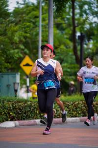 BIB: 1703, 113, 
                            <button type="button" onclick="openModal(4669094)" class="btn btn-primary btn-sm float-right btn-popup" data-toggle="modal" data-target=".modal-high-quality">
                        <i class="fas fa-shopping-cart"></i> Add to Cart
                    </button>
                                            <button type="button" onclick="isThisMe(4669094, true)" class="btn btn-success btn-sm float-right btn-popup btn-isme hidden" data-toggle="tooltip" data-placement="bottom" title="นี่คือรูปของคุณใช่ไหม คลิกที่นี่เพื่อเอาเข้าอัลบั้ม">
                        <i class="fas fa-plus"></i> Add to album
                    </button>
                    <button type="button" onclick="isThisMe(4669094, false)" class="btn btn-warning btn-sm float-right btn-popup btn-isnotme hidden">
                        <i class="fas fa-ban"></i> Remove from album
                    </button>