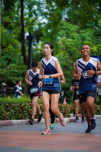 BIB: 2451
                            <button type="button" onclick="openModal(4667249)" class="btn btn-primary btn-sm float-right btn-popup" data-toggle="modal" data-target=".modal-high-quality">
                        <i class="fas fa-shopping-cart"></i> Add to Cart
                    </button>
                                            <button type="button" onclick="isThisMe(4667249, true)" class="btn btn-success btn-sm float-right btn-popup btn-isme hidden" data-toggle="tooltip" data-placement="bottom" title="นี่คือรูปของคุณใช่ไหม คลิกที่นี่เพื่อเอาเข้าอัลบั้ม">
                        <i class="fas fa-plus"></i> Add to album
                    </button>
                    <button type="button" onclick="isThisMe(4667249, false)" class="btn btn-warning btn-sm float-right btn-popup btn-isnotme hidden">
                        <i class="fas fa-ban"></i> Remove from album
                    </button>