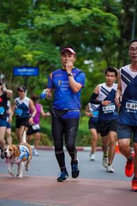 BIB: 6760
                            <button type="button" onclick="openModal(4669203)" class="btn btn-primary btn-sm float-right btn-popup" data-toggle="modal" data-target=".modal-high-quality">
                        <i class="fas fa-shopping-cart"></i> Add to Cart
                    </button>
                                            <button type="button" onclick="isThisMe(4669203, true)" class="btn btn-success btn-sm float-right btn-popup btn-isme hidden" data-toggle="tooltip" data-placement="bottom" title="นี่คือรูปของคุณใช่ไหม คลิกที่นี่เพื่อเอาเข้าอัลบั้ม">
                        <i class="fas fa-plus"></i> Add to album
                    </button>
                    <button type="button" onclick="isThisMe(4669203, false)" class="btn btn-warning btn-sm float-right btn-popup btn-isnotme hidden">
                        <i class="fas fa-ban"></i> Remove from album
                    </button>