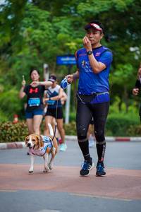 BIB: 
                            <button type="button" onclick="openModal(4669210)" class="btn btn-primary btn-sm float-right btn-popup" data-toggle="modal" data-target=".modal-high-quality">
                        <i class="fas fa-shopping-cart"></i> Add to Cart
                    </button>
                                            <button type="button" onclick="isThisMe(4669210, true)" class="btn btn-success btn-sm float-right btn-popup btn-isme hidden" data-toggle="tooltip" data-placement="bottom" title="นี่คือรูปของคุณใช่ไหม คลิกที่นี่เพื่อเอาเข้าอัลบั้ม">
                        <i class="fas fa-plus"></i> Add to album
                    </button>
                    <button type="button" onclick="isThisMe(4669210, false)" class="btn btn-warning btn-sm float-right btn-popup btn-isnotme hidden">
                        <i class="fas fa-ban"></i> Remove from album
                    </button>