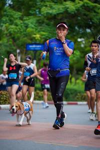 BIB: 
                            <button type="button" onclick="openModal(4669206)" class="btn btn-primary btn-sm float-right btn-popup" data-toggle="modal" data-target=".modal-high-quality">
                        <i class="fas fa-shopping-cart"></i> Add to Cart
                    </button>
                                            <button type="button" onclick="isThisMe(4669206, true)" class="btn btn-success btn-sm float-right btn-popup btn-isme hidden" data-toggle="tooltip" data-placement="bottom" title="นี่คือรูปของคุณใช่ไหม คลิกที่นี่เพื่อเอาเข้าอัลบั้ม">
                        <i class="fas fa-plus"></i> Add to album
                    </button>
                    <button type="button" onclick="isThisMe(4669206, false)" class="btn btn-warning btn-sm float-right btn-popup btn-isnotme hidden">
                        <i class="fas fa-ban"></i> Remove from album
                    </button>