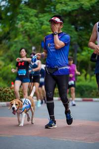 BIB: 
                            <button type="button" onclick="openModal(4669214)" class="btn btn-primary btn-sm float-right btn-popup" data-toggle="modal" data-target=".modal-high-quality">
                        <i class="fas fa-shopping-cart"></i> Add to Cart
                    </button>
                                            <button type="button" onclick="isThisMe(4669214, true)" class="btn btn-success btn-sm float-right btn-popup btn-isme hidden" data-toggle="tooltip" data-placement="bottom" title="นี่คือรูปของคุณใช่ไหม คลิกที่นี่เพื่อเอาเข้าอัลบั้ม">
                        <i class="fas fa-plus"></i> Add to album
                    </button>
                    <button type="button" onclick="isThisMe(4669214, false)" class="btn btn-warning btn-sm float-right btn-popup btn-isnotme hidden">
                        <i class="fas fa-ban"></i> Remove from album
                    </button>