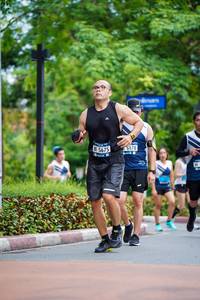 BIB: 5675, 6878
                            <button type="button" onclick="openModal(4673067)" class="btn btn-primary btn-sm float-right btn-popup" data-toggle="modal" data-target=".modal-high-quality">
                        <i class="fas fa-shopping-cart"></i> Add to Cart
                    </button>
                                            <button type="button" onclick="isThisMe(4673067, true)" class="btn btn-success btn-sm float-right btn-popup btn-isme hidden" data-toggle="tooltip" data-placement="bottom" title="นี่คือรูปของคุณใช่ไหม คลิกที่นี่เพื่อเอาเข้าอัลบั้ม">
                        <i class="fas fa-plus"></i> Add to album
                    </button>
                    <button type="button" onclick="isThisMe(4673067, false)" class="btn btn-warning btn-sm float-right btn-popup btn-isnotme hidden">
                        <i class="fas fa-ban"></i> Remove from album
                    </button>