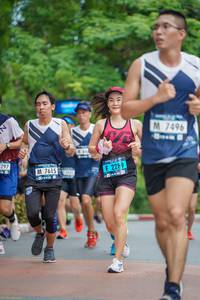 BIB: 7496, 297, 2289, 7615
                            <button type="button" onclick="openModal(4660049)" class="btn btn-primary btn-sm float-right btn-popup" data-toggle="modal" data-target=".modal-high-quality">
                        <i class="fas fa-shopping-cart"></i> Add to Cart
                    </button>
                                            <button type="button" onclick="isThisMe(4660049, true)" class="btn btn-success btn-sm float-right btn-popup btn-isme hidden" data-toggle="tooltip" data-placement="bottom" title="นี่คือรูปของคุณใช่ไหม คลิกที่นี่เพื่อเอาเข้าอัลบั้ม">
                        <i class="fas fa-plus"></i> Add to album
                    </button>
                    <button type="button" onclick="isThisMe(4660049, false)" class="btn btn-warning btn-sm float-right btn-popup btn-isnotme hidden">
                        <i class="fas fa-ban"></i> Remove from album
                    </button>