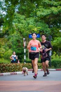 BIB: 2454
                            <button type="button" onclick="openModal(4671299)" class="btn btn-primary btn-sm float-right btn-popup" data-toggle="modal" data-target=".modal-high-quality">
                        <i class="fas fa-shopping-cart"></i> Add to Cart
                    </button>
                                            <button type="button" onclick="isThisMe(4671299, true)" class="btn btn-success btn-sm float-right btn-popup btn-isme hidden" data-toggle="tooltip" data-placement="bottom" title="นี่คือรูปของคุณใช่ไหม คลิกที่นี่เพื่อเอาเข้าอัลบั้ม">
                        <i class="fas fa-plus"></i> Add to album
                    </button>
                    <button type="button" onclick="isThisMe(4671299, false)" class="btn btn-warning btn-sm float-right btn-popup btn-isnotme hidden">
                        <i class="fas fa-ban"></i> Remove from album
                    </button>