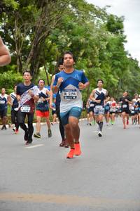 BIB: 5294, 5129
                            <button type="button" onclick="openModal(4598067)" class="btn btn-primary btn-sm float-right btn-popup" data-toggle="modal" data-target=".modal-high-quality">
                        <i class="fas fa-shopping-cart"></i> Add to Cart
                    </button>
                                            <button type="button" onclick="isThisMe(4598067, true)" class="btn btn-success btn-sm float-right btn-popup btn-isme hidden" data-toggle="tooltip" data-placement="bottom" title="นี่คือรูปของคุณใช่ไหม คลิกที่นี่เพื่อเอาเข้าอัลบั้ม">
                        <i class="fas fa-plus"></i> Add to album
                    </button>
                    <button type="button" onclick="isThisMe(4598067, false)" class="btn btn-warning btn-sm float-right btn-popup btn-isnotme hidden">
                        <i class="fas fa-ban"></i> Remove from album
                    </button>