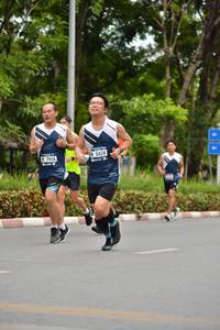 BIB: 5439, 7958
                            <button type="button" onclick="openModal(4599688)" class="btn btn-primary btn-sm float-right btn-popup" data-toggle="modal" data-target=".modal-high-quality">
                        <i class="fas fa-shopping-cart"></i> Add to Cart
                    </button>
                                            <button type="button" onclick="isThisMe(4599688, true)" class="btn btn-success btn-sm float-right btn-popup btn-isme hidden" data-toggle="tooltip" data-placement="bottom" title="นี่คือรูปของคุณใช่ไหม คลิกที่นี่เพื่อเอาเข้าอัลบั้ม">
                        <i class="fas fa-plus"></i> Add to album
                    </button>
                    <button type="button" onclick="isThisMe(4599688, false)" class="btn btn-warning btn-sm float-right btn-popup btn-isnotme hidden">
                        <i class="fas fa-ban"></i> Remove from album
                    </button>