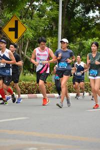 BIB: 2456, 2611
                            <button type="button" onclick="openModal(4602308)" class="btn btn-primary btn-sm float-right btn-popup" data-toggle="modal" data-target=".modal-high-quality">
                        <i class="fas fa-shopping-cart"></i> Add to Cart
                    </button>
                                            <button type="button" onclick="isThisMe(4602308, true)" class="btn btn-success btn-sm float-right btn-popup btn-isme hidden" data-toggle="tooltip" data-placement="bottom" title="นี่คือรูปของคุณใช่ไหม คลิกที่นี่เพื่อเอาเข้าอัลบั้ม">
                        <i class="fas fa-plus"></i> Add to album
                    </button>
                    <button type="button" onclick="isThisMe(4602308, false)" class="btn btn-warning btn-sm float-right btn-popup btn-isnotme hidden">
                        <i class="fas fa-ban"></i> Remove from album
                    </button>