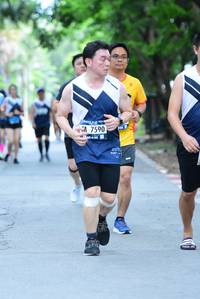 BIB: 
                            <button type="button" onclick="openModal(4639887)" class="btn btn-primary btn-sm float-right btn-popup" data-toggle="modal" data-target=".modal-high-quality">
                        <i class="fas fa-shopping-cart"></i> Add to Cart
                    </button>
                                            <button type="button" onclick="isThisMe(4639887, true)" class="btn btn-success btn-sm float-right btn-popup btn-isme hidden" data-toggle="tooltip" data-placement="bottom" title="นี่คือรูปของคุณใช่ไหม คลิกที่นี่เพื่อเอาเข้าอัลบั้ม">
                        <i class="fas fa-plus"></i> Add to album
                    </button>
                    <button type="button" onclick="isThisMe(4639887, false)" class="btn btn-warning btn-sm float-right btn-popup btn-isnotme hidden">
                        <i class="fas fa-ban"></i> Remove from album
                    </button>