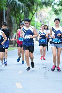 BIB: 8279, 137, 1769
                            <button type="button" onclick="openModal(4638142)" class="btn btn-primary btn-sm float-right btn-popup" data-toggle="modal" data-target=".modal-high-quality">
                        <i class="fas fa-shopping-cart"></i> Add to Cart
                    </button>
                                            <button type="button" onclick="isThisMe(4638142, true)" class="btn btn-success btn-sm float-right btn-popup btn-isme hidden" data-toggle="tooltip" data-placement="bottom" title="นี่คือรูปของคุณใช่ไหม คลิกที่นี่เพื่อเอาเข้าอัลบั้ม">
                        <i class="fas fa-plus"></i> Add to album
                    </button>
                    <button type="button" onclick="isThisMe(4638142, false)" class="btn btn-warning btn-sm float-right btn-popup btn-isnotme hidden">
                        <i class="fas fa-ban"></i> Remove from album
                    </button>